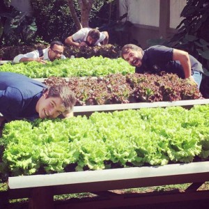 Reunião com os sócios/amigos da Salad Creations Brasil.